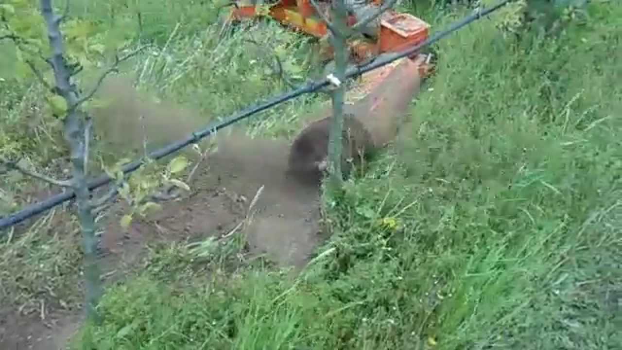 CORTESE MACCHINE AGRICOLE TRANCINO INTERFILARE  FRUTTETO