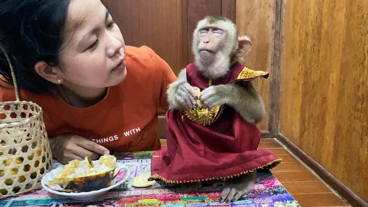 0MG!! Genius Judee [Very SLEEPY] Eating Fruit With Eye Close