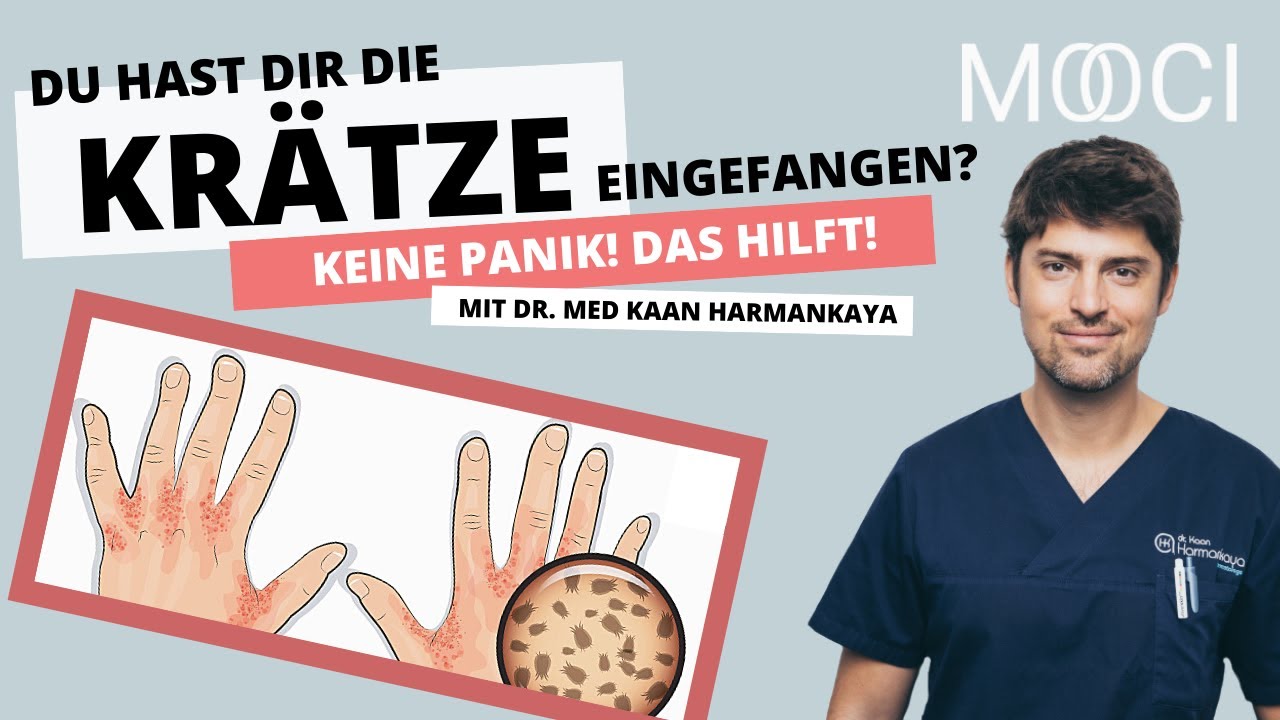 Kr&auml;tze erkennen & behandeln! Das hilft gegen Milben!