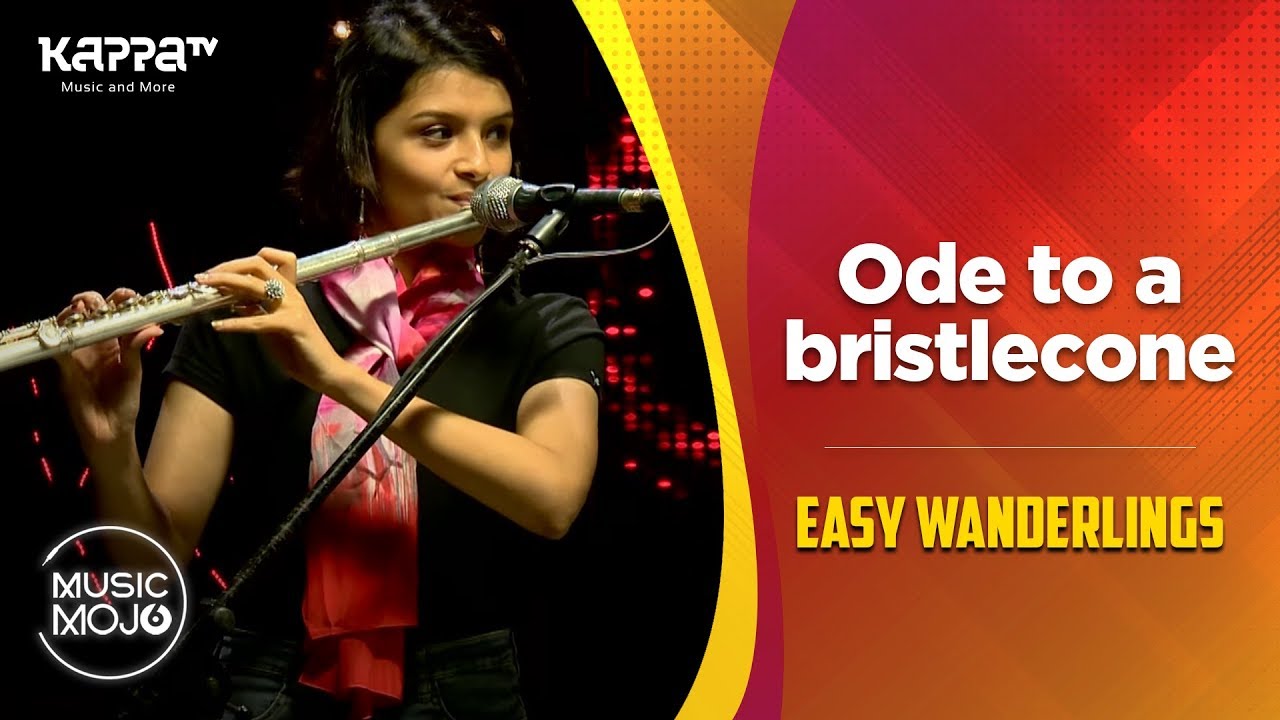 Ode to a bristlecone - Easy Wanderlings - Music Mojo Season 6 - Kappa TV