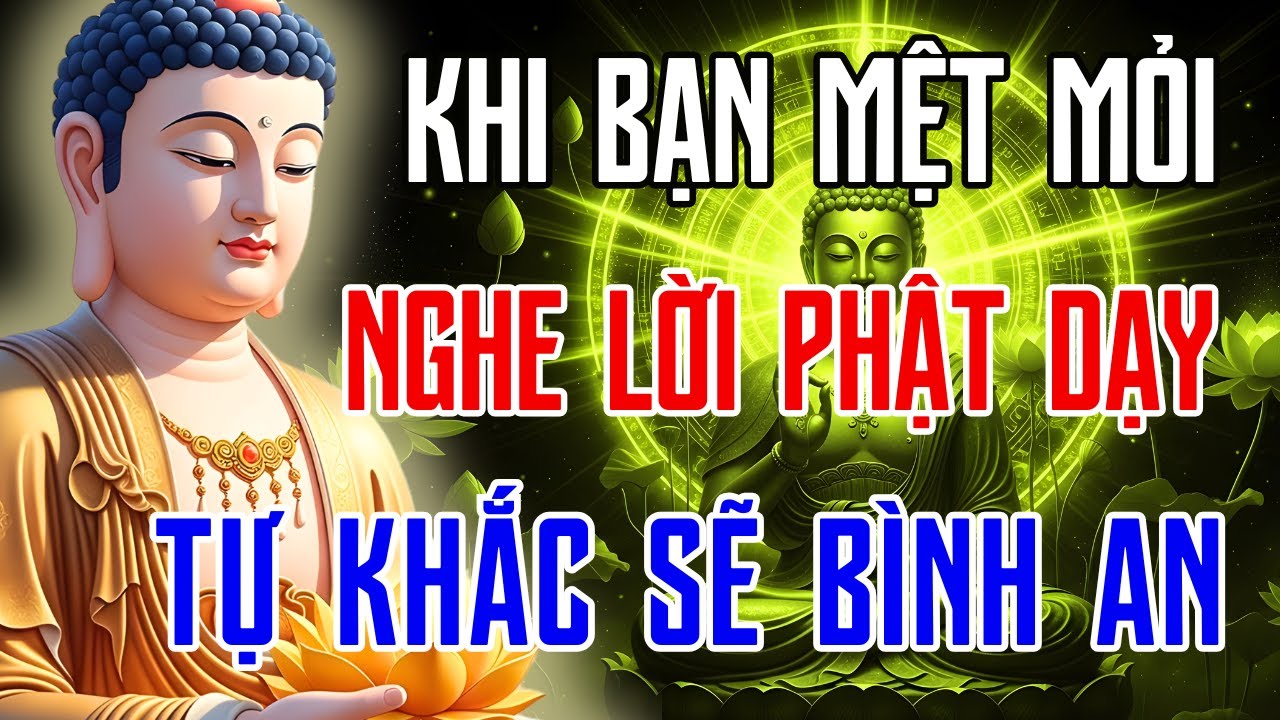 Trước Khi Ngủ Hãy Ngồi Xuống và Nghe Lời Phật Dạy – Bí Quyết Buông Xả Để Tâm Được An