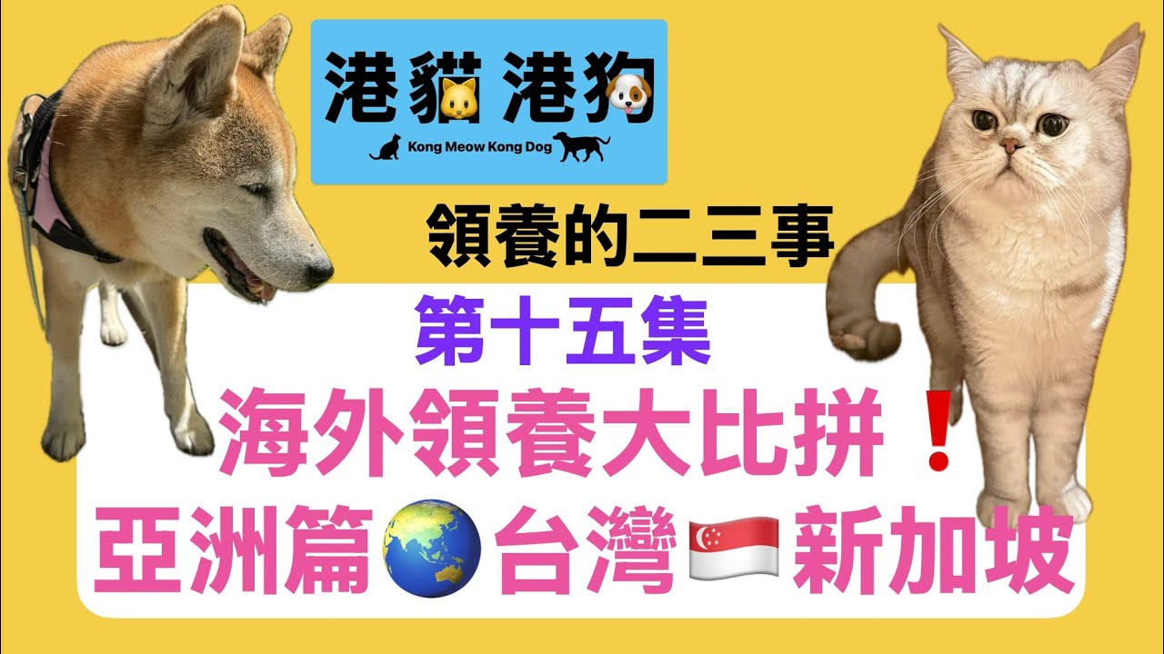 EP 15｜🐱🐶 領養的二三事｜海外領養大比拼｜台灣🥢、新加坡🇸🇬篇｜政府角色大不同｜ 台灣「試養期」｜新加坡領養法律⚖️合約｜領養費用💰大公開｜熱烈掌聲👏👏｜古生🕺🏻及J小姐💃🏻