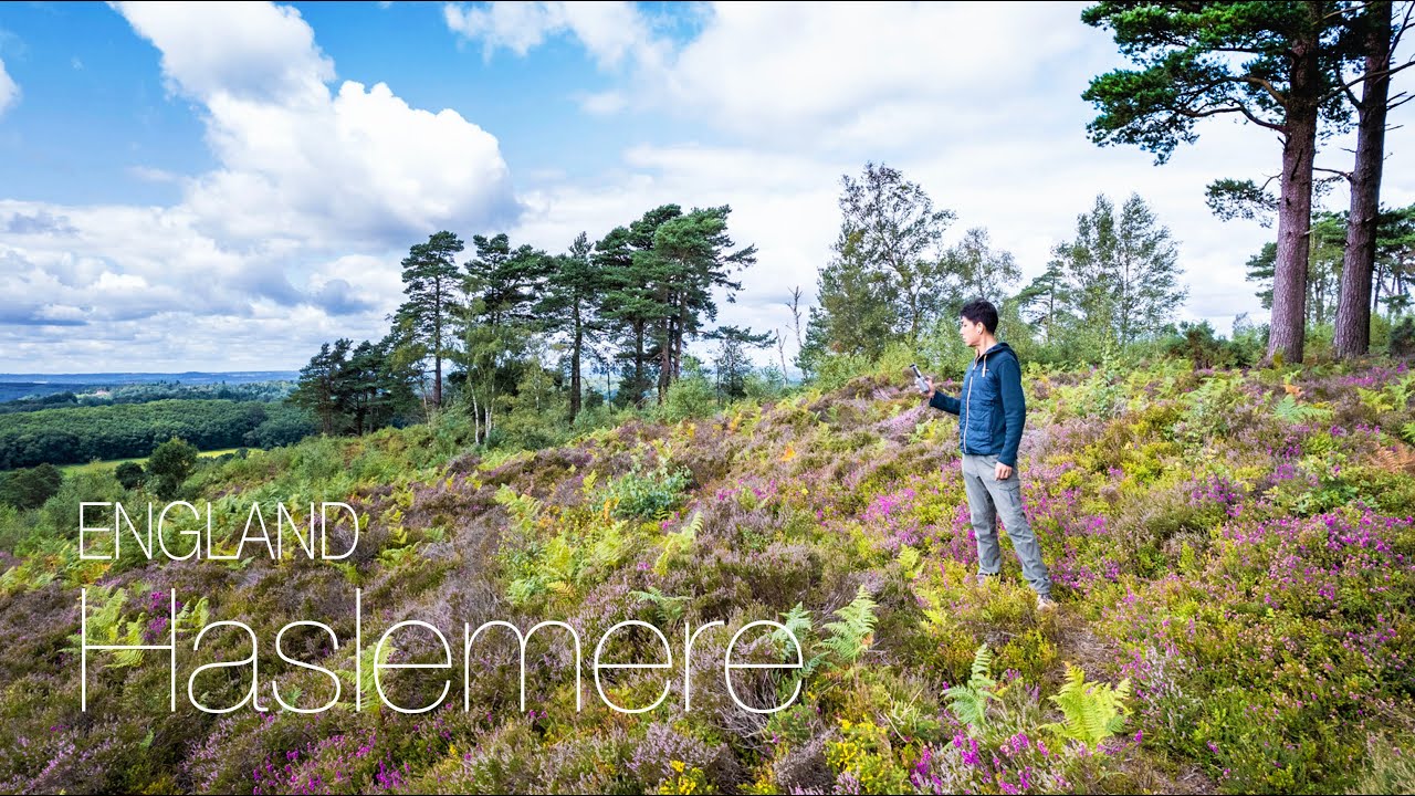 Haslemere, England - SoloCasual Hike in Summer