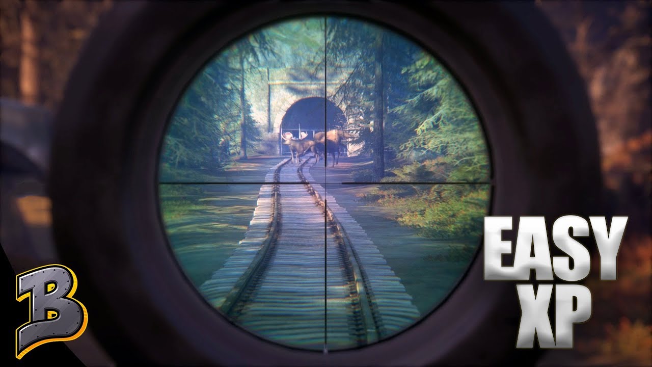 Easy Way To Get XP! Way Too Many Animals! theHunter: Call of the Wild