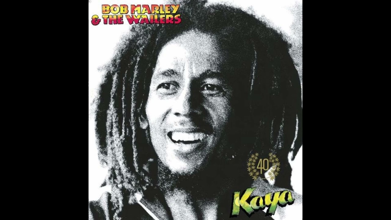 [FREE] BOB MARLEY X REGGAE X STEEL PULSE TYPE BEAT 