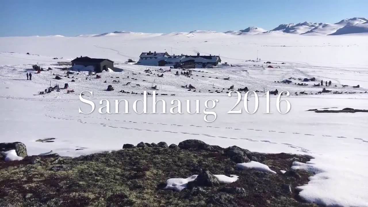 Sandhaug 2016