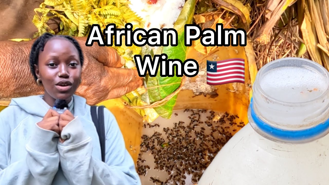 How Palm Wine is Tapped in Liberia-Popular African Wine. 🇱🇷