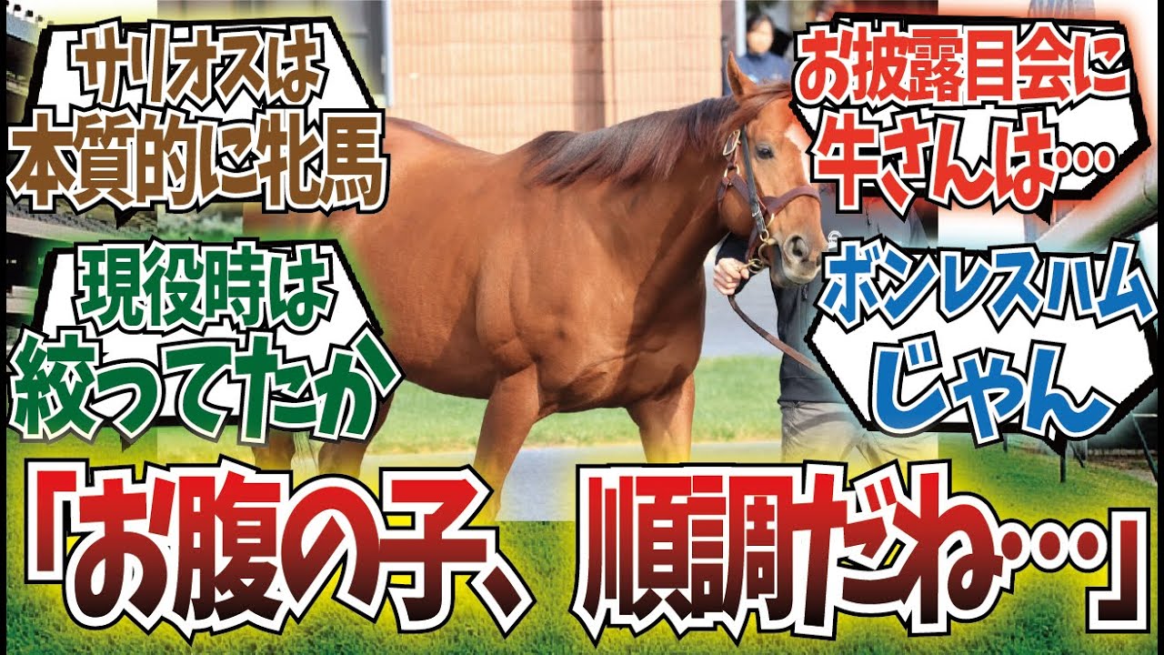 「サリオス妊娠してる？」に対するみんなの反応集
