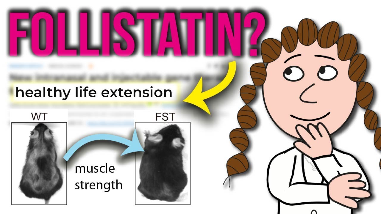 Follistatin - why is this the new longevity trend?