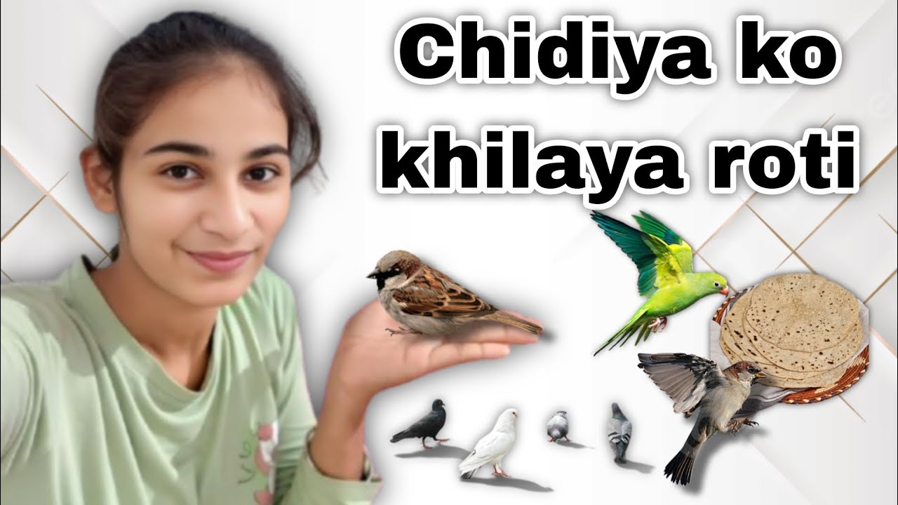 Chidiya ko khilaya roti 
