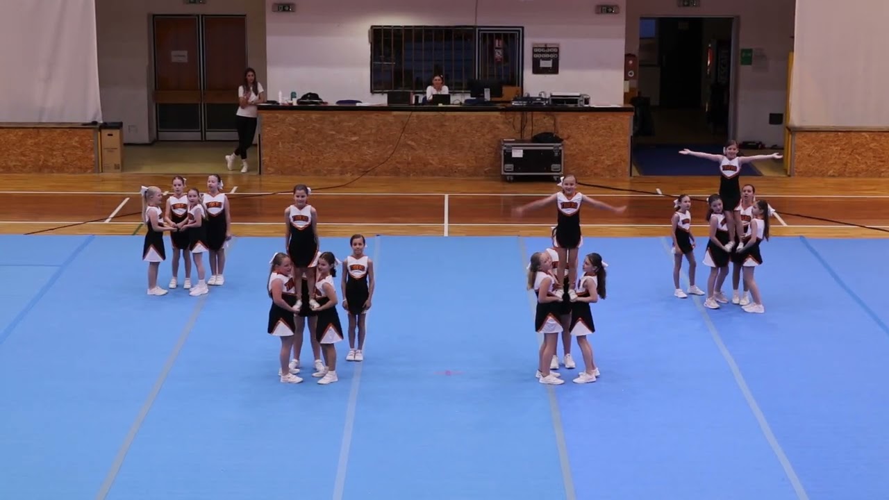 SHOW OFF 2024: Kitties