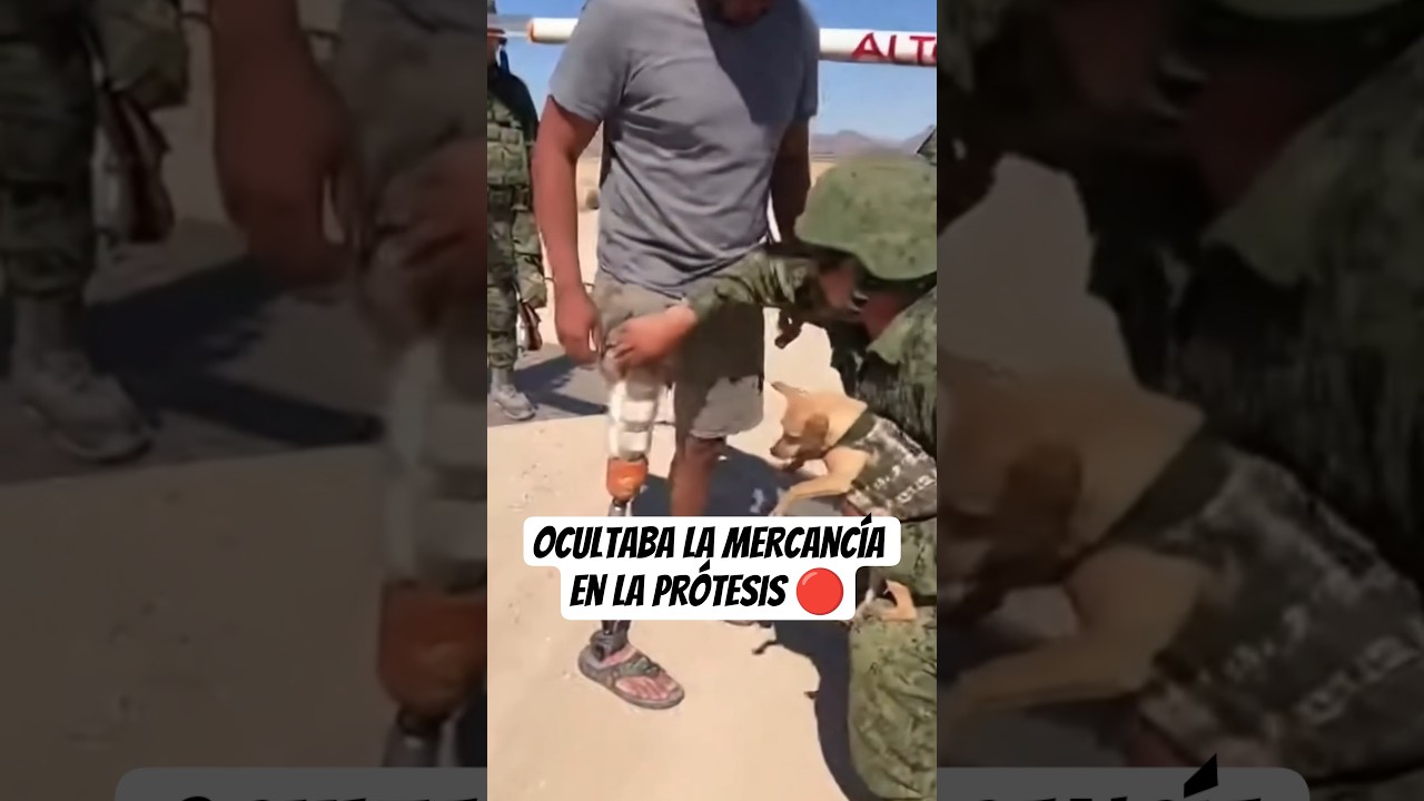 Militares le encuentran protesis con mercanc&iacute;a #militaresmexicanos #nayibbukele #mexico #seguridad