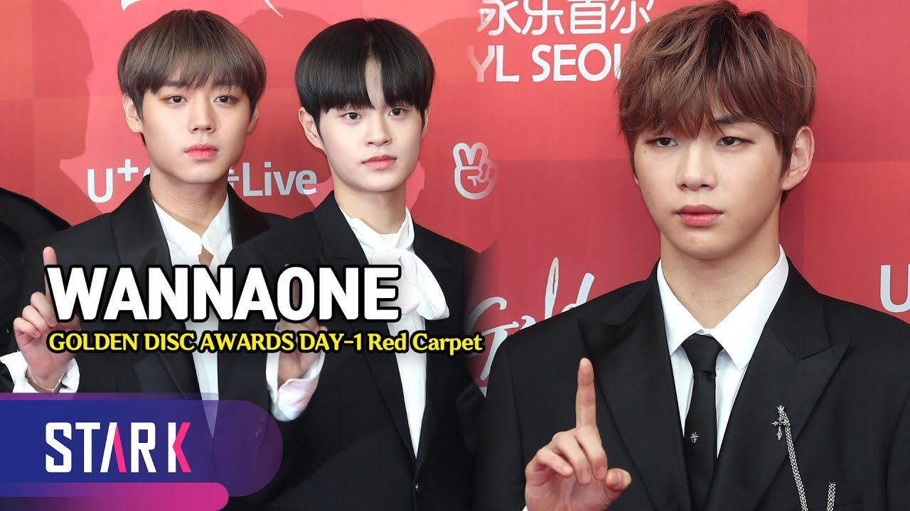워너원, 2019년에는 모두가 행복했으면… (WANNAONE, GOLDEN DISC AWARDS DAY-1 Red Carpet)