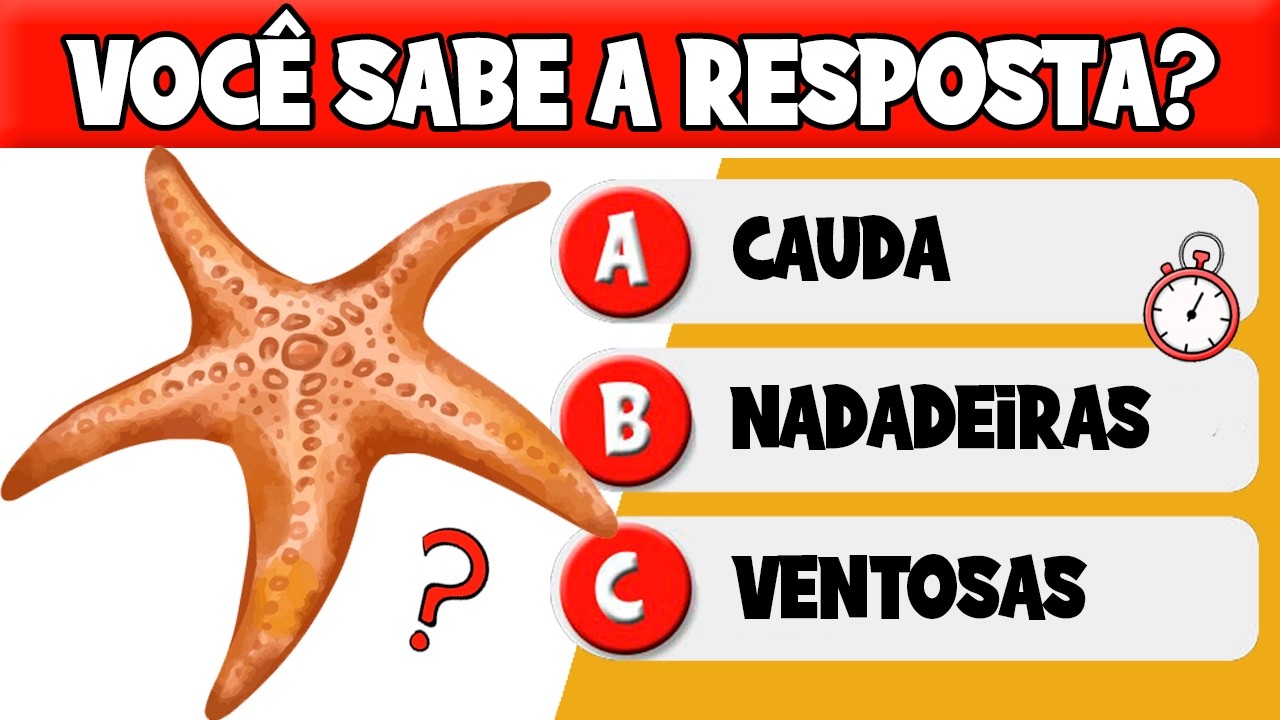 🦈 Quiz ANIMAIS MARINHOS! Você conhece o Fundo do Mar? 🌊 #quiz