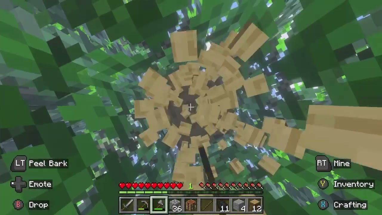 Minecraft VOD