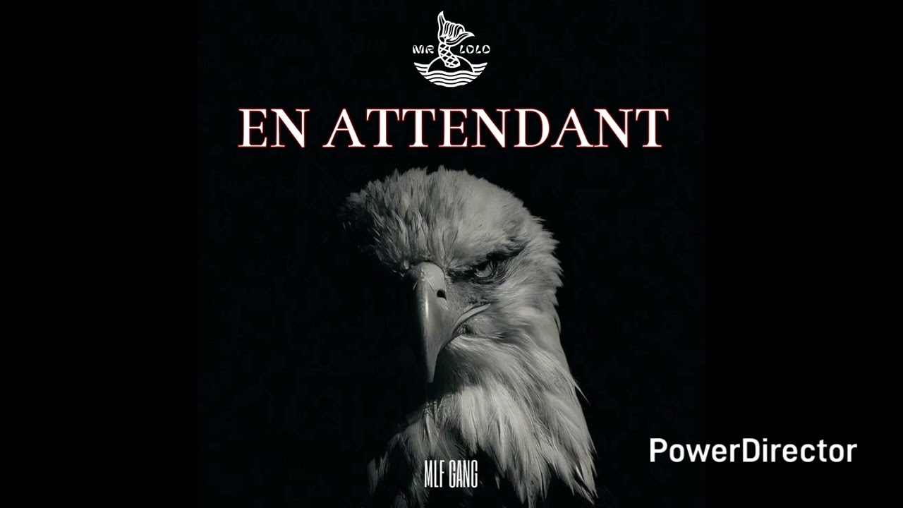 MISTER LOLO - EN ATTENDANT
