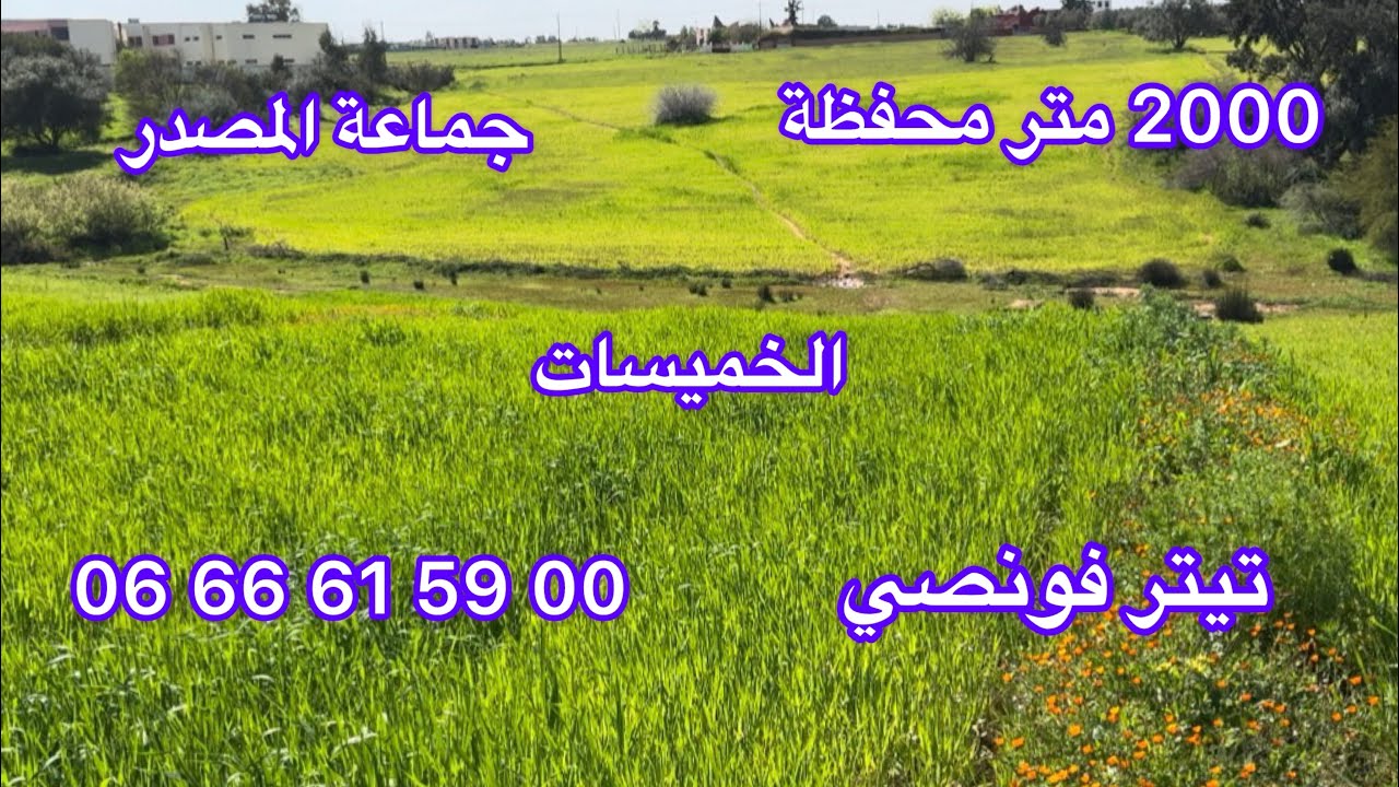 أرض فلاحية على الطريق للبيع بالخميسات | سيدي علال المصدر 2000 متر بثمن مناسب