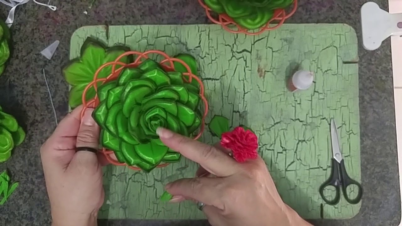 DIY:Como Montar Suculentas Elegans e Shaviana Em Eva