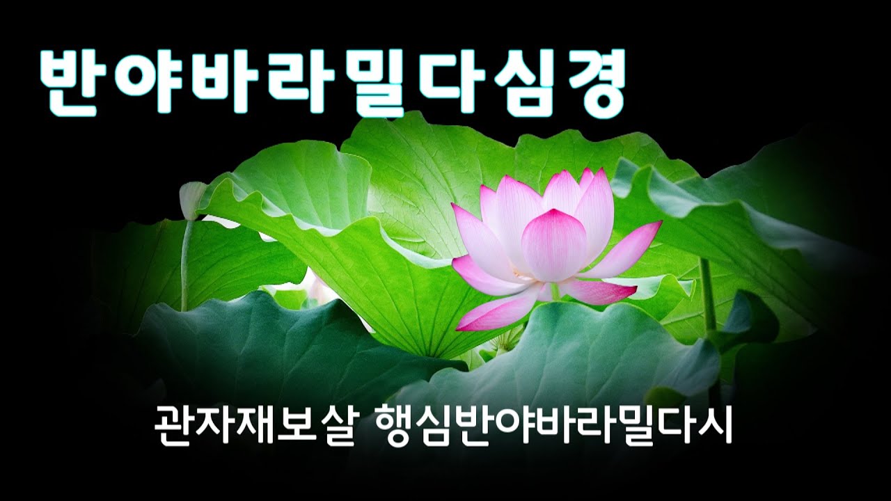 반야심경 독송 범철스님 /  밝은 지혜에 이르는 부처님 말씀 /  21독 확장판