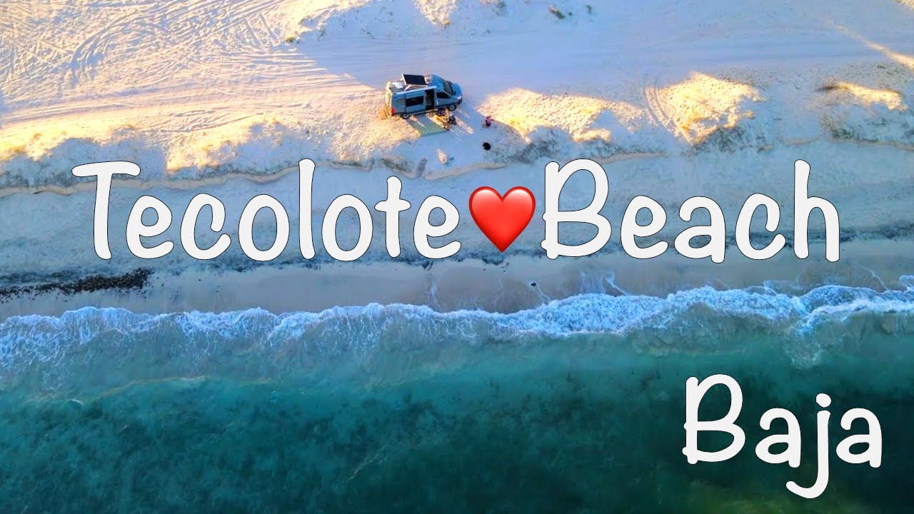 Tecolote Beach La Paz in Baja California Sur Baja | Pelican Feeding Frenzy Vanlife Photography