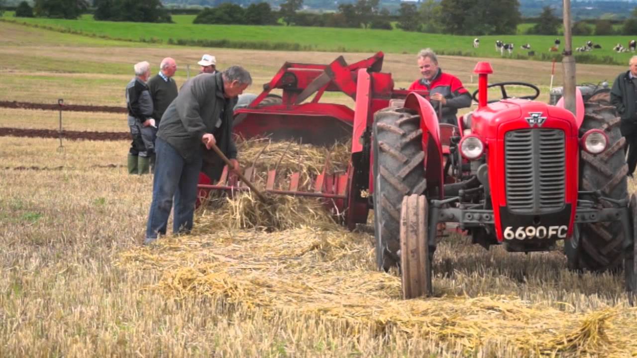 MF 35x with Massey Ferguson 703 square baler.Baling straw at West Mains Farm