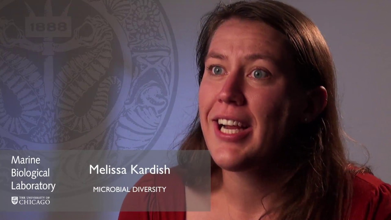Melissa Kardish, Microbial Diversity, MBL