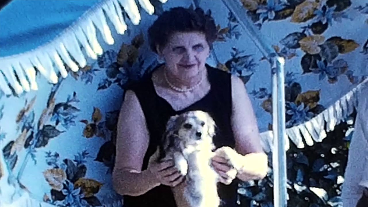 1950's Backyard Family Dogs and Cats 8mm Found Footage Mid Century Family Home Videos