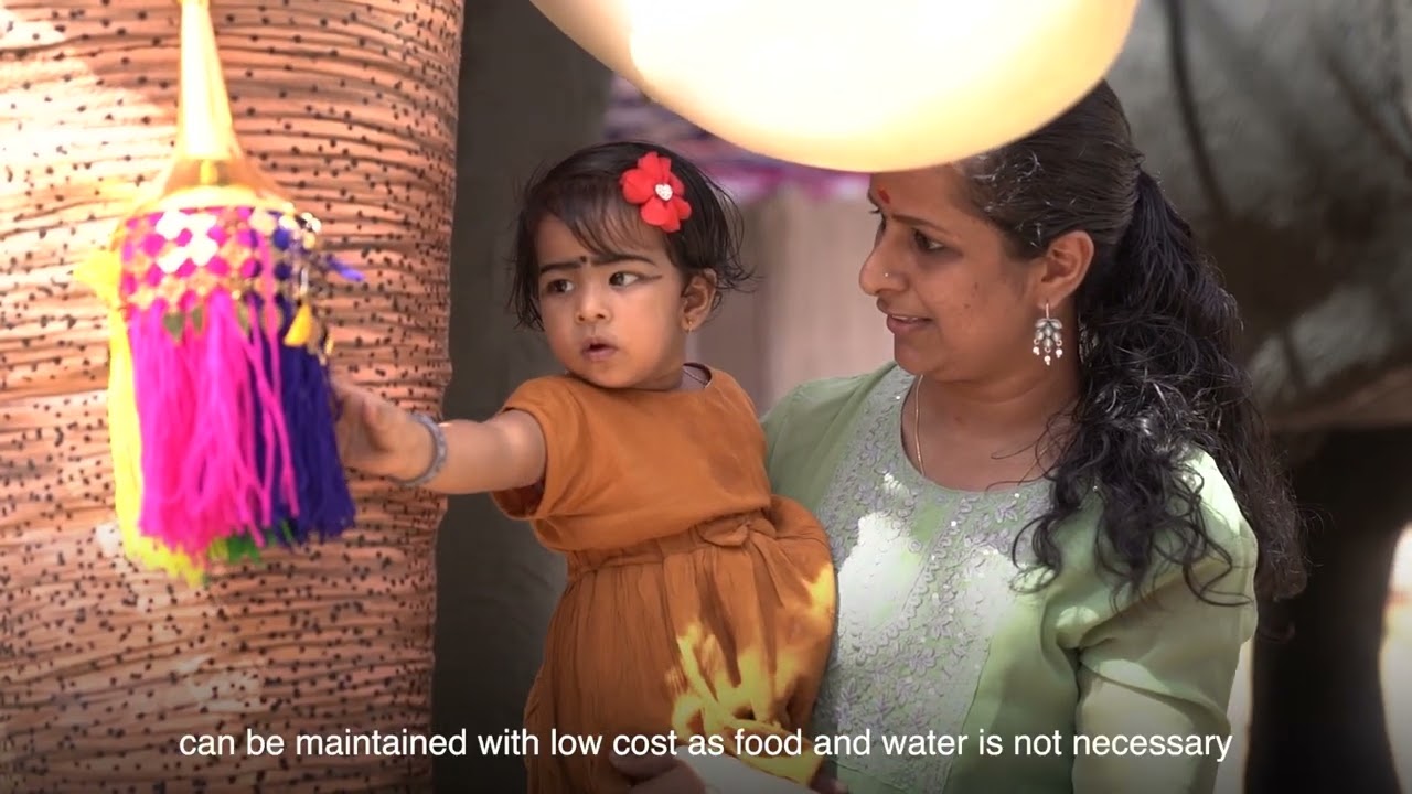 Actor Bhumi Satish Pednekkar & PETA India Donate Mechanical Elephant to Thrissur Temple