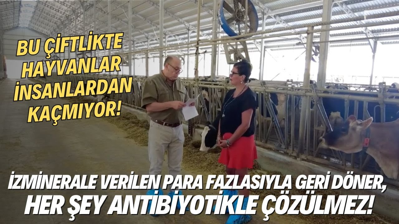 İzminerale Verilen Para Fazlasıyla Geri Döner, Her Şey Antibiyotikle Çözülmez!