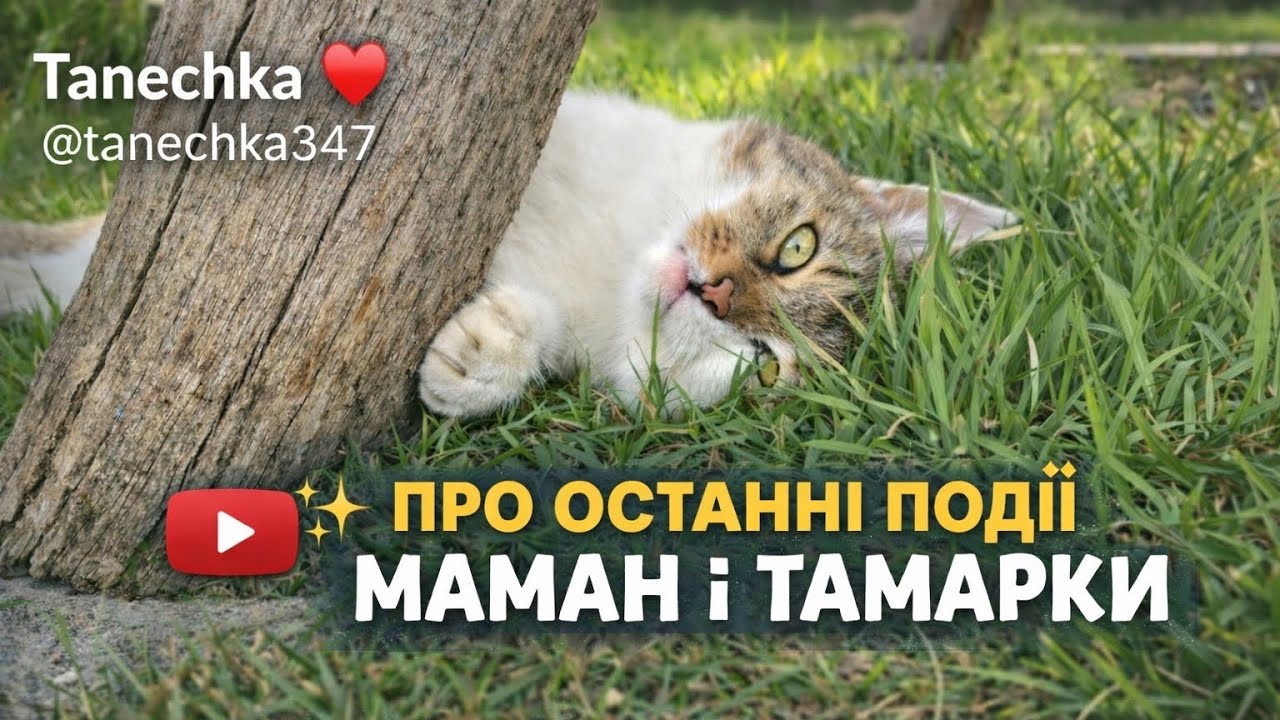 ✨19•03•2026✨ ПРО ОСТАННІ ПОДІЇ  МАМАН І ТАМАРКИ .
