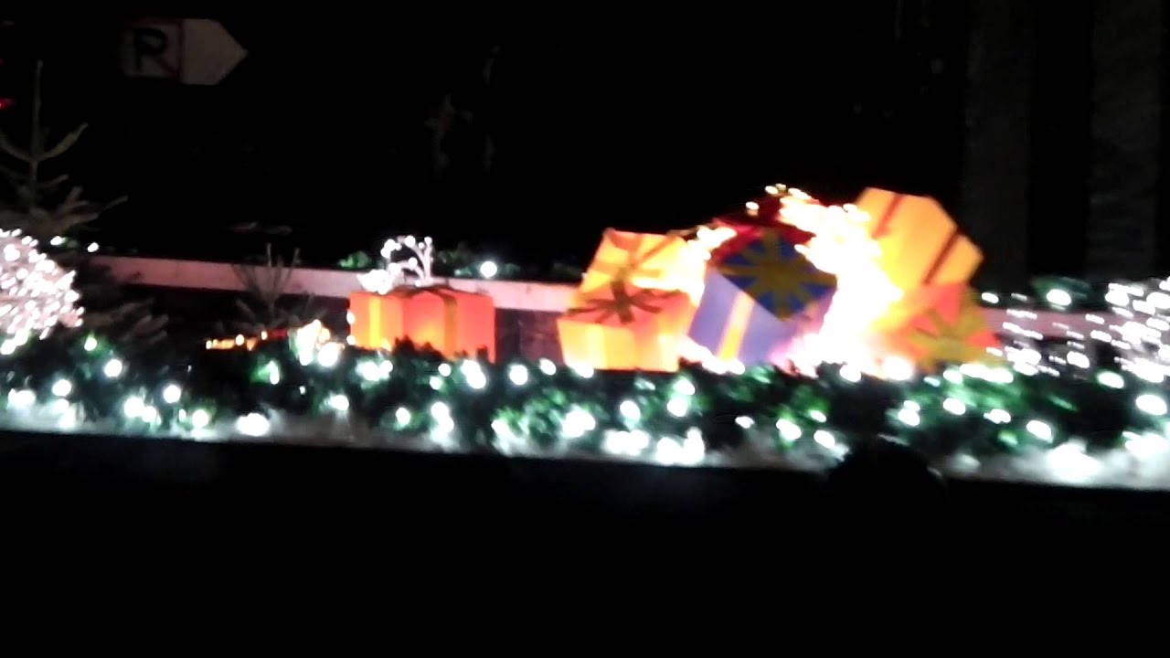 Winter Canal Parade. 8
