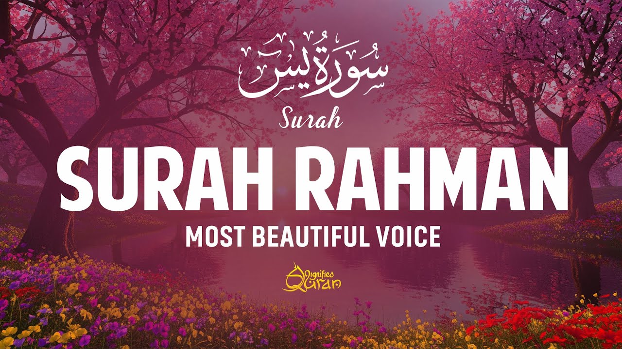 Surah Ar-Rahman (سورة الرحمن) | Relaxing Quran Recitation for Sleep & Peace | Dignified Quran #quran