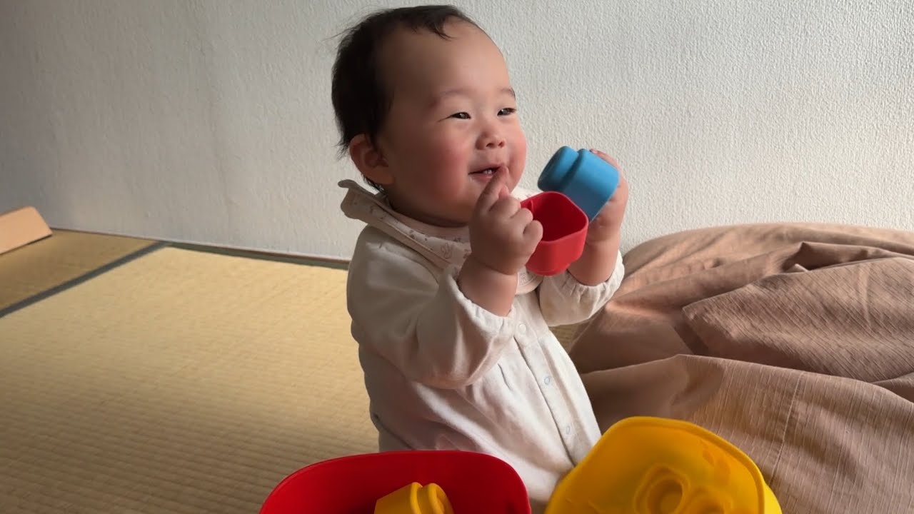 【赤ちゃんvlog｜8ヶ月】サブスクおもちゃで夢中｜ブロック遊び｜生後267日
