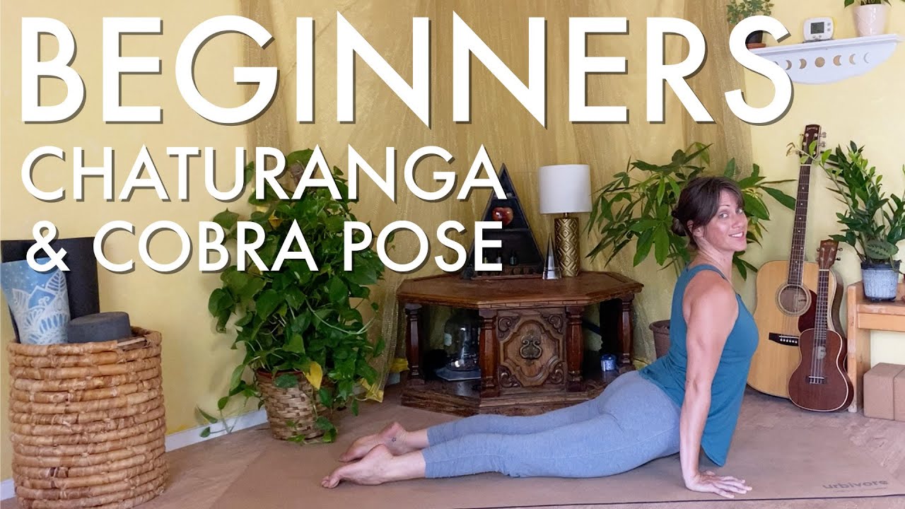 Beginner Series | Chaturanga, Cobra and Up Dog Breakdowns in 20-minute Yoga Flow with Jen Hilman