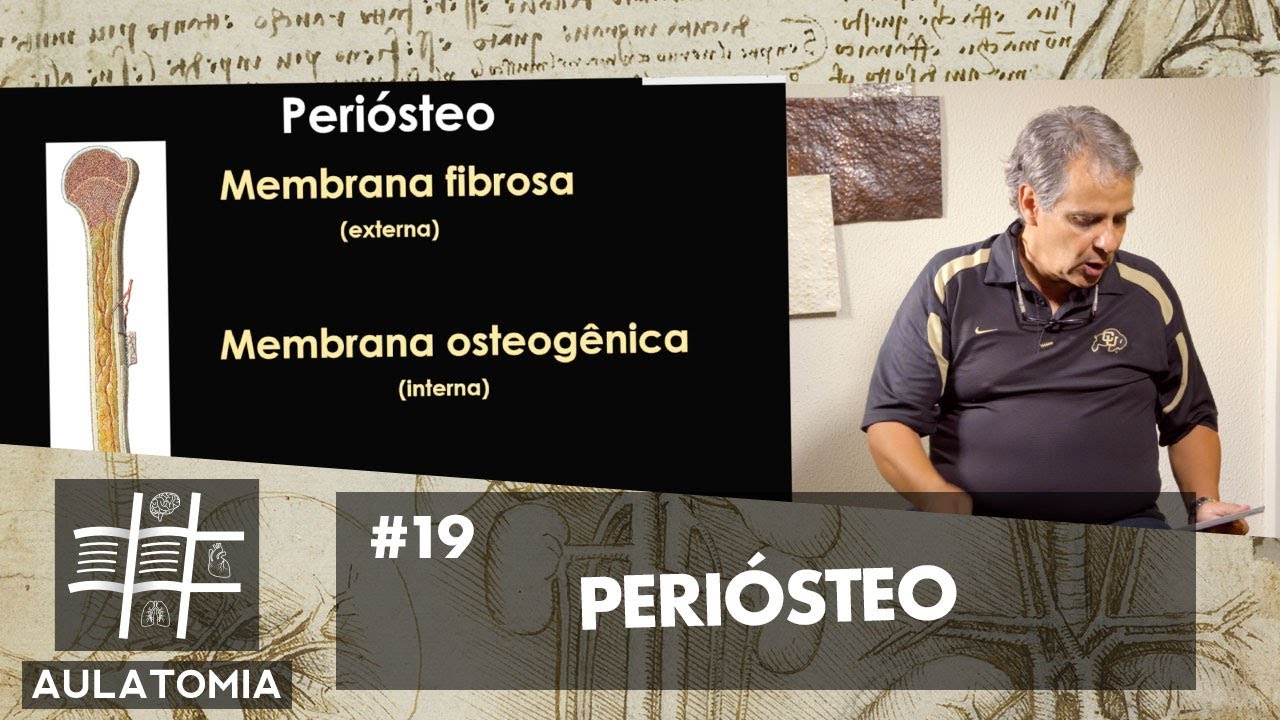 AULATOMIA #19 - Peri&oacute;steo (Sistema Esquel&eacute;tico Aula 6)