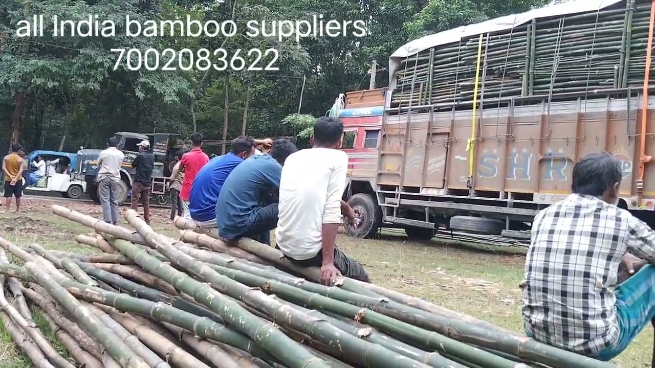 all India bamboo suppliers 5555%%%%&&&?