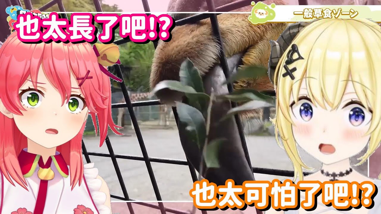 第一次餵食長頸鹿的35跟WTM 卻被它超長的舌頭嚇到不行了呀w【Hololive中文精華】【櫻巫女+角卷綿芽】
