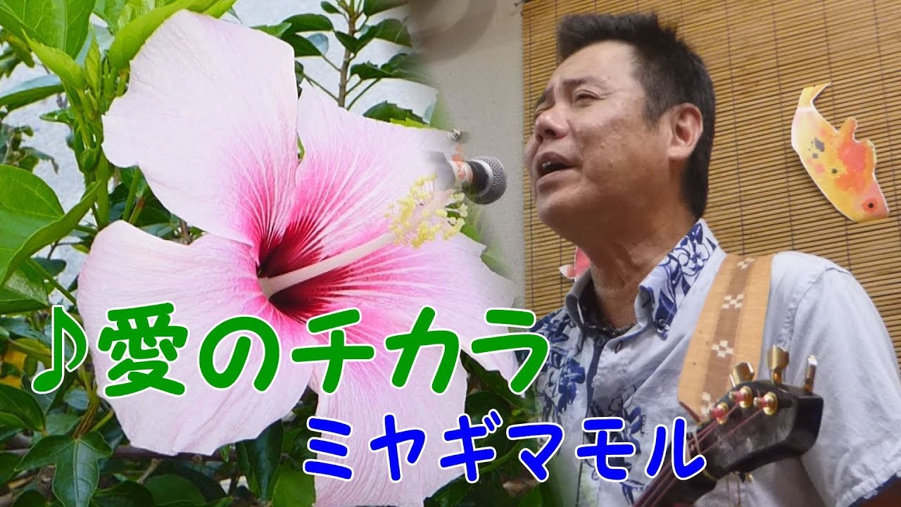 「♪愛のチカラ」ミヤギマモル（2017）
