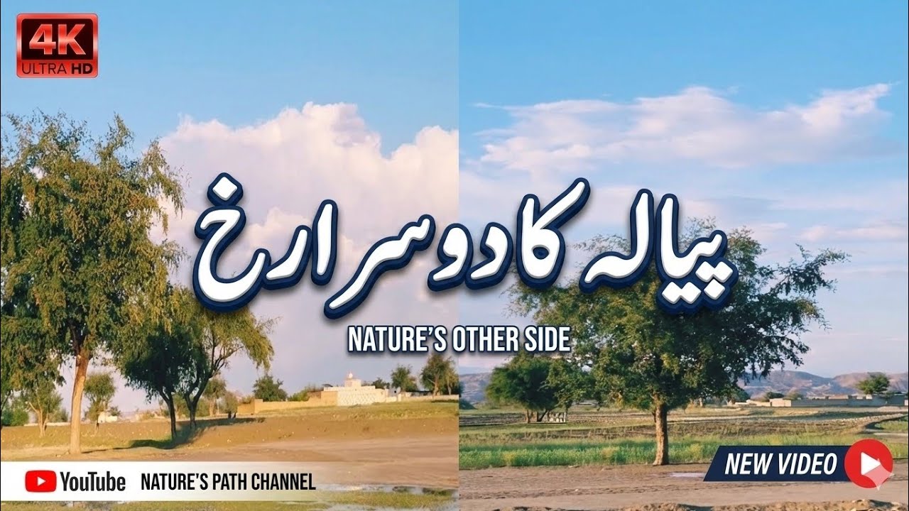 Hidden Beauty of Piala | The Other Side of Nature