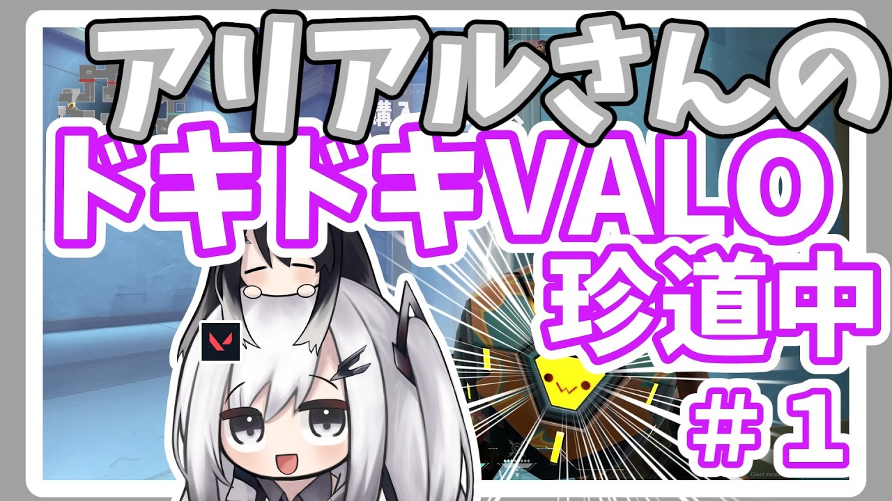 アリアルさんのドキドキVALO珍道中　パート１