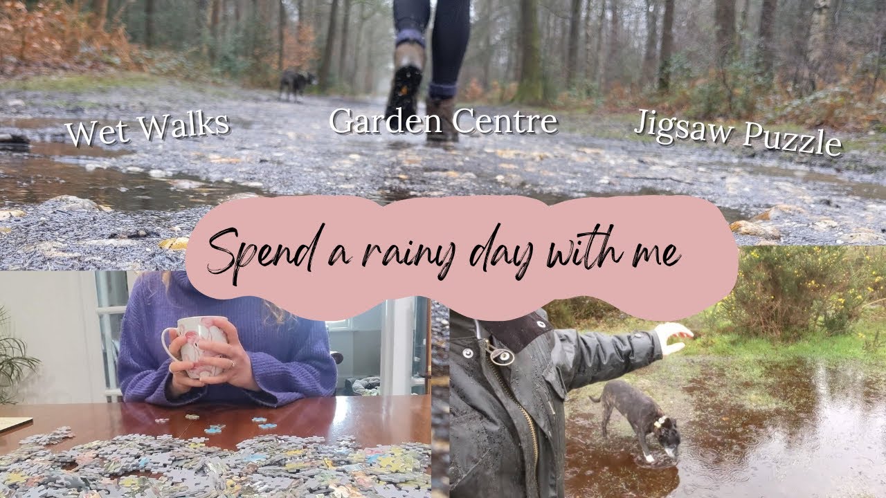 Spend a slow, rainy day with me and Harvey