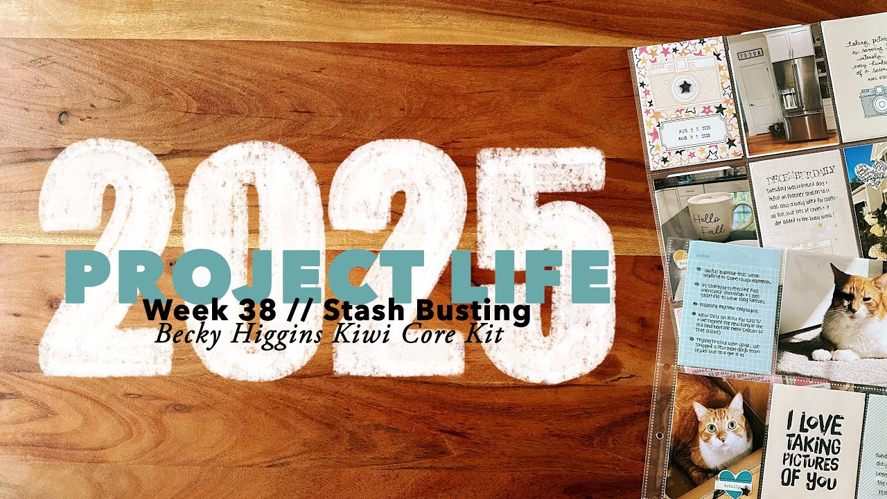 2025 Project Life // Week 38: Stash Busting