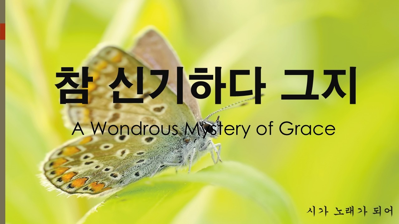 [Celtic Folk Ballad] 참 신기하다 그지 | A Wondrous Mystery of Grace | Original Poem | Healing Music