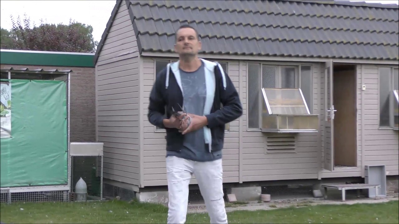 ZLU St Vincent - Thuiskomst duiven Frederik Leliaert