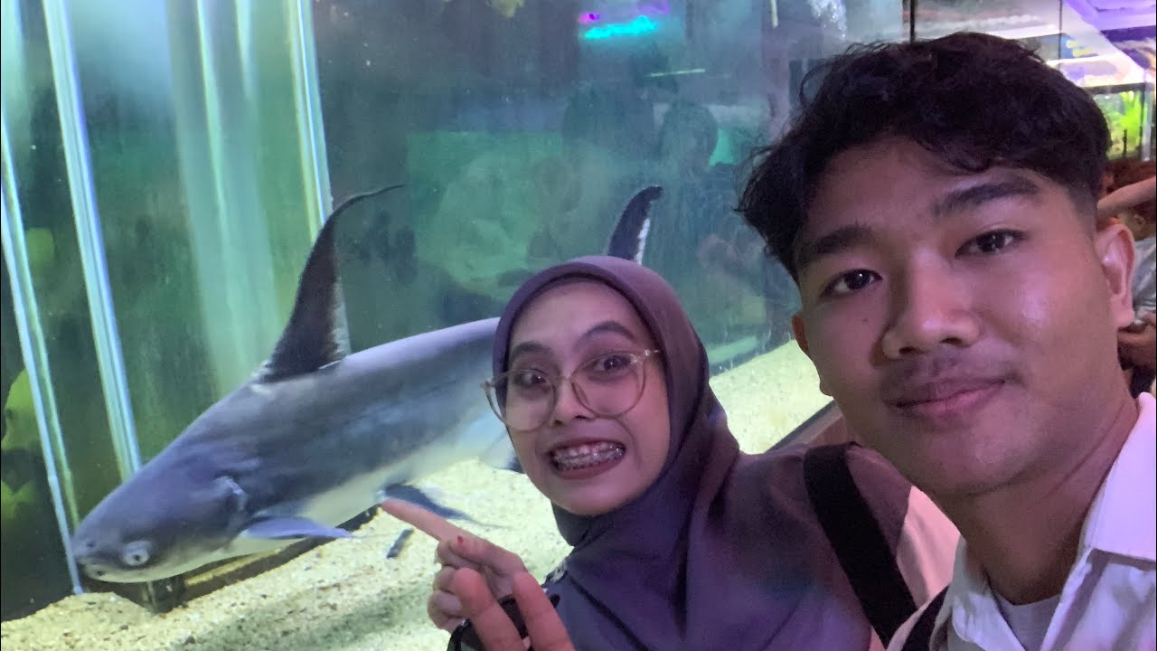 Daily Vlog Bagian 2 : Central Park Zoo ,Pancur Batu.