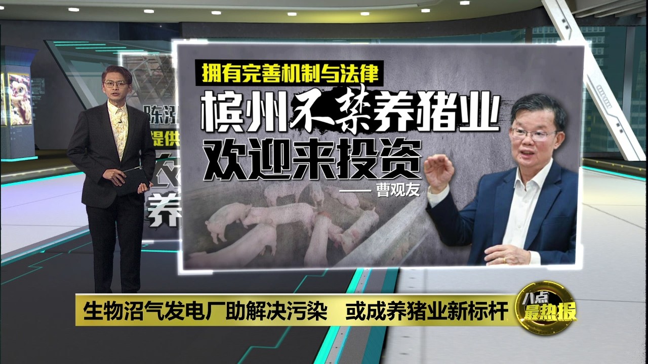 生物沼气发电厂助解决污染   或成养猪业新标杆 | 八点最热报 14/02/2026