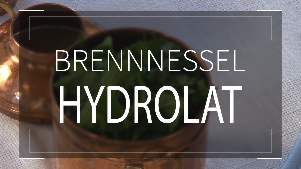 Brennnessel-Hydrolat | Kräuter- und Kochwerkstatt