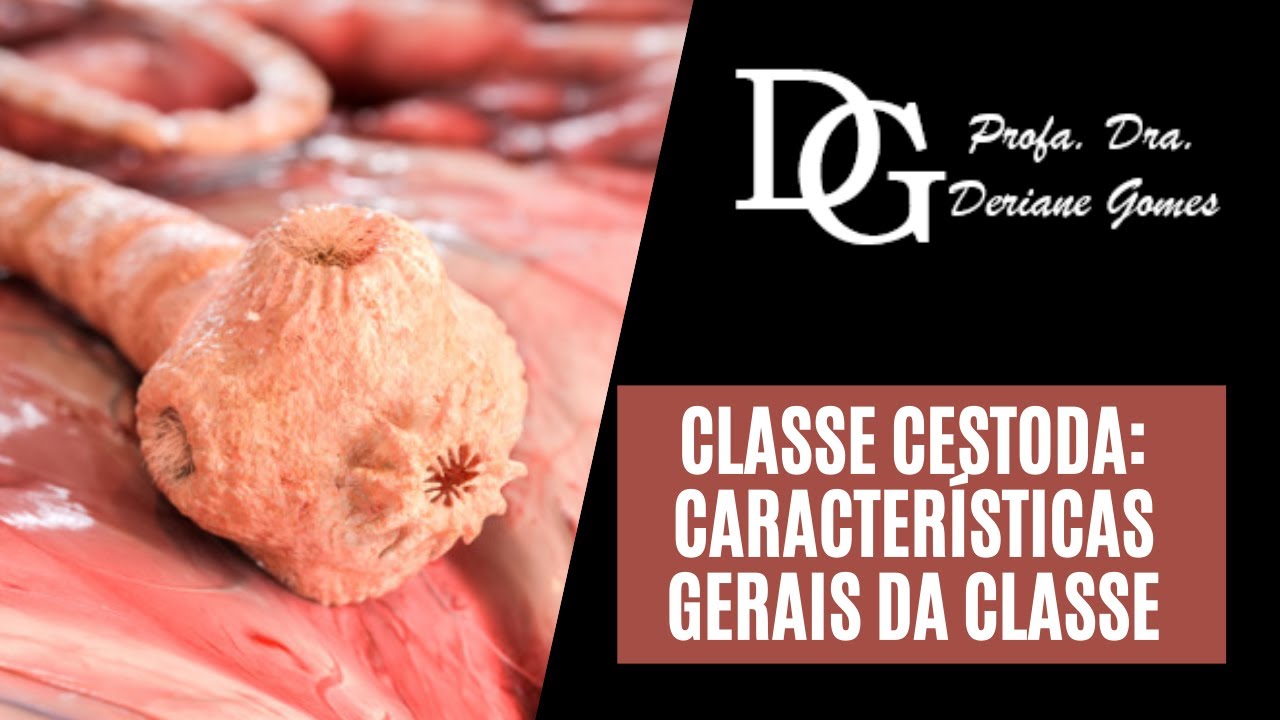 087. Classe Cestoda: Características Gerais da Classe