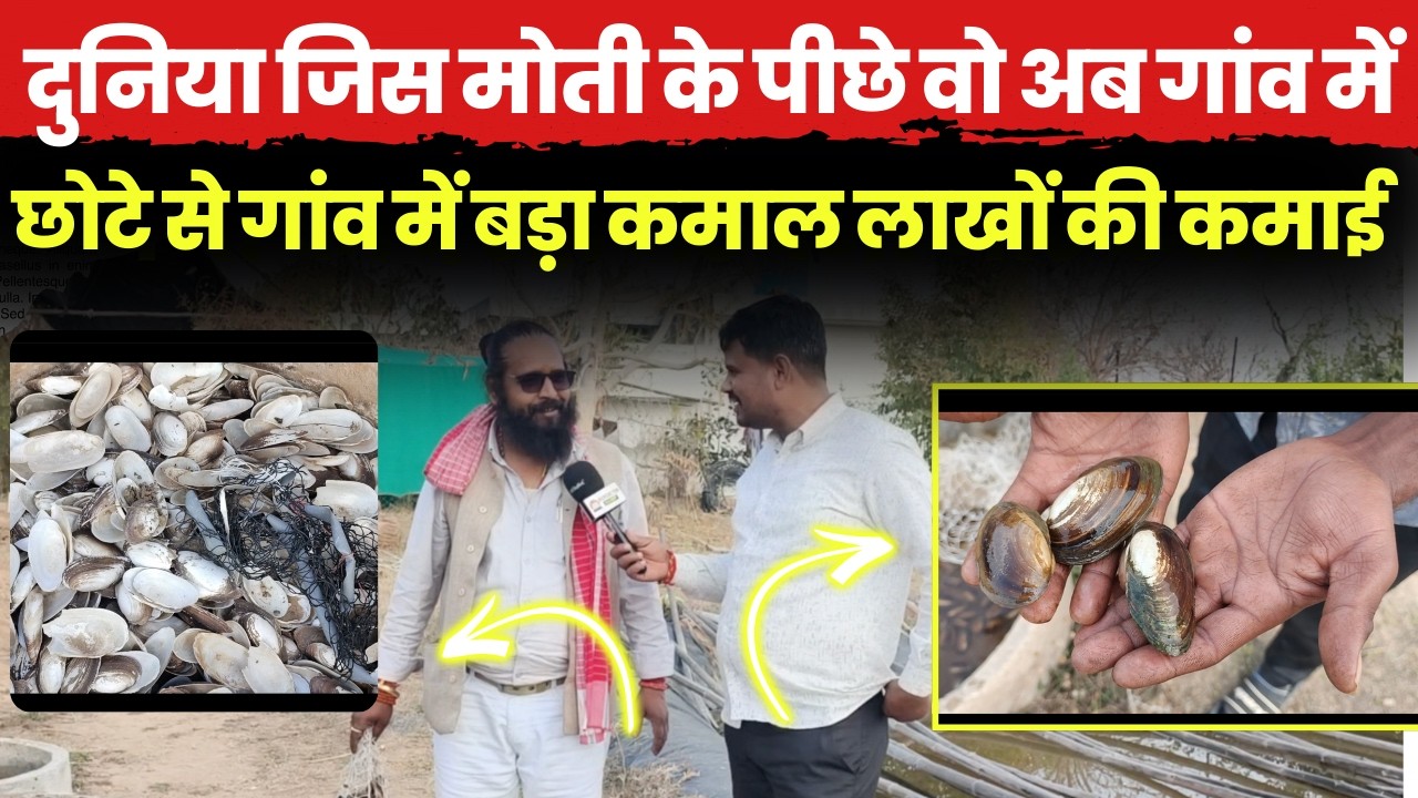 दुनिया जिस महंगे मोती के पीछे वो मिल गया छोटे से गांव में, हो रही लाखों की कमाई~