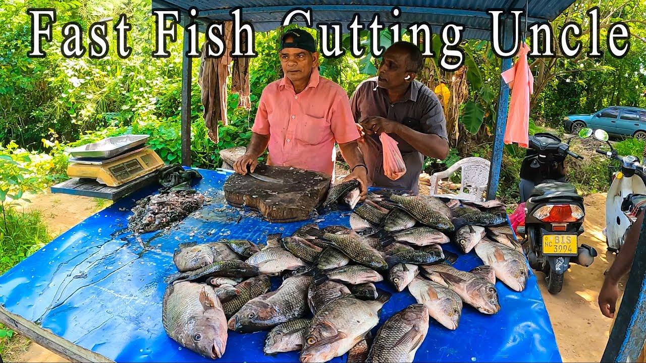 Excellent Fish Cutting Skill Village Man |  SL Fish Cutting & Fishing Life | Lake Tilapia Fish Cutt